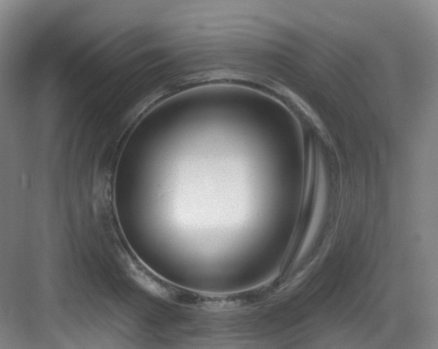 X0000083070793200702091529