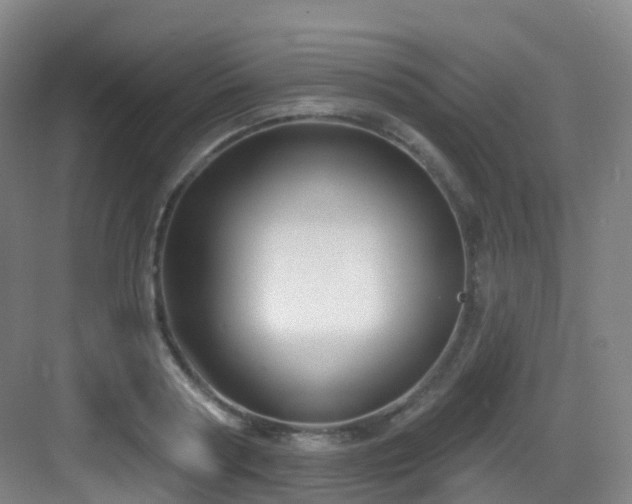 X0000083070794200702091529