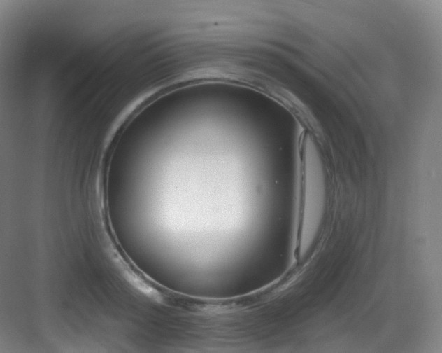 X0000083070796200702091529