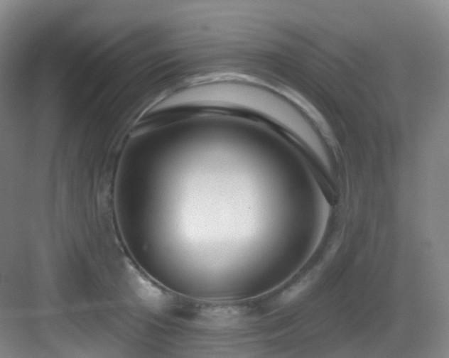 X0000083070801200702091529