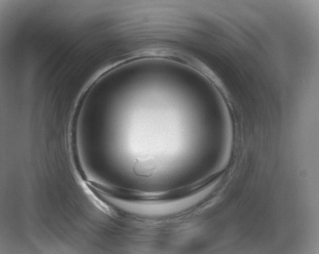 X0000083070803200702091529