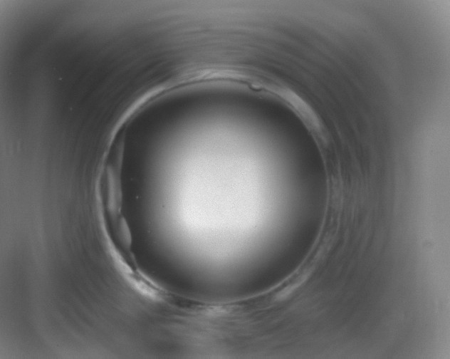 X0000083070814200702091529