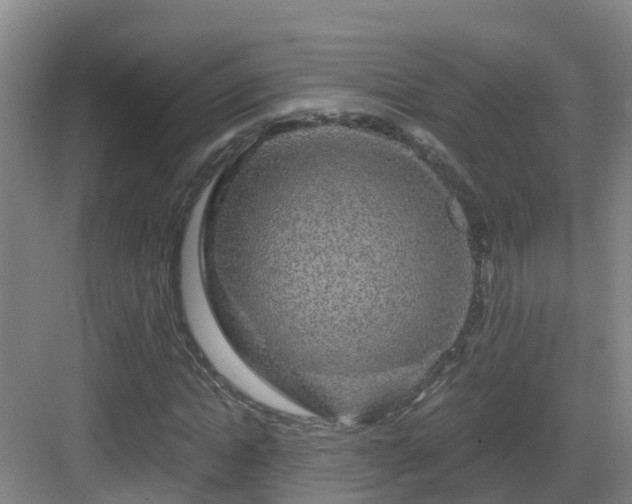 X0000083070822200702091528