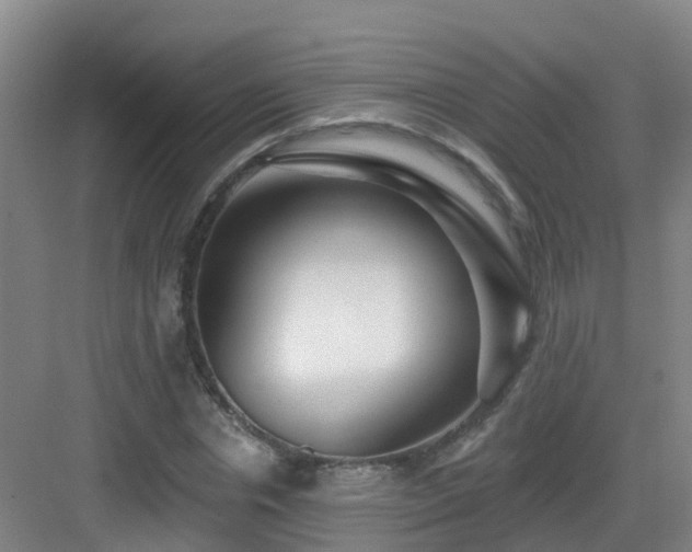 X0000083070826200702091528