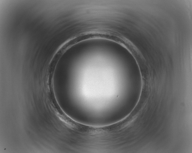 X0000083070830200702091528