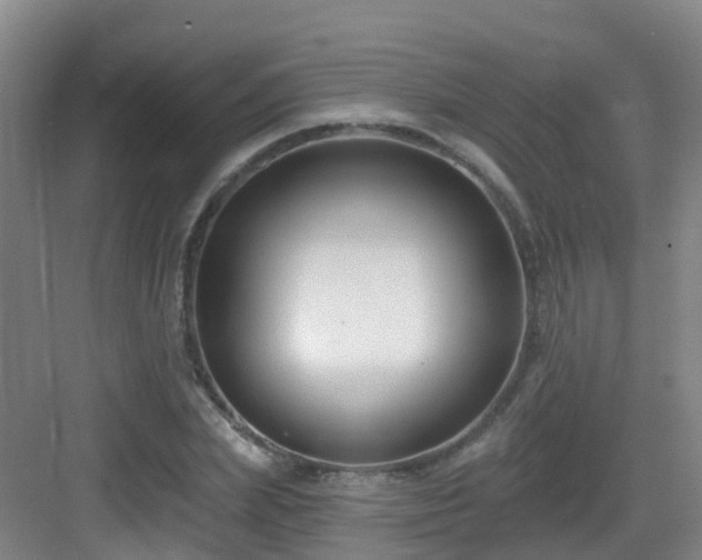 X0000083070831200702091528