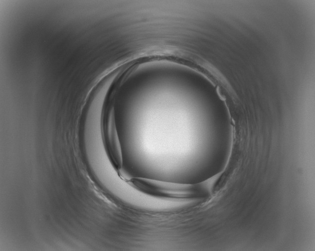 X0000083070834200702091528