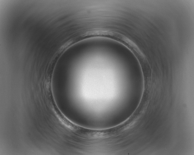 X0000083070841200702091528