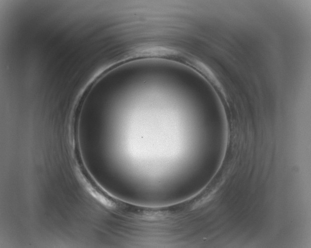 X0000083070843200702091528