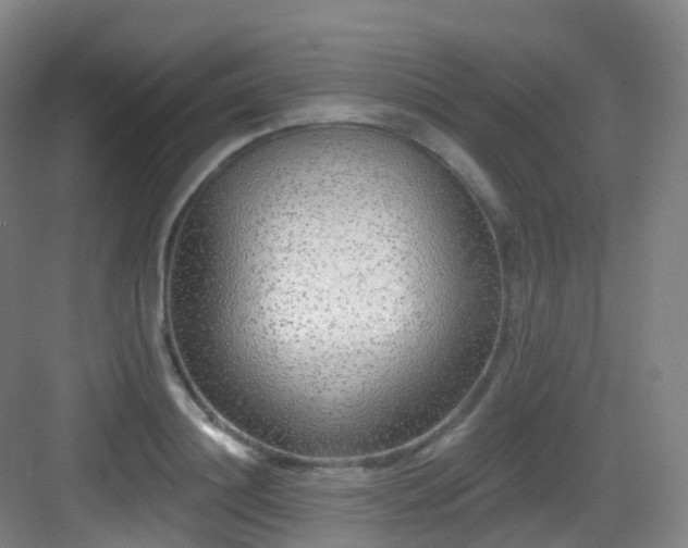 X0000083070844200702091528