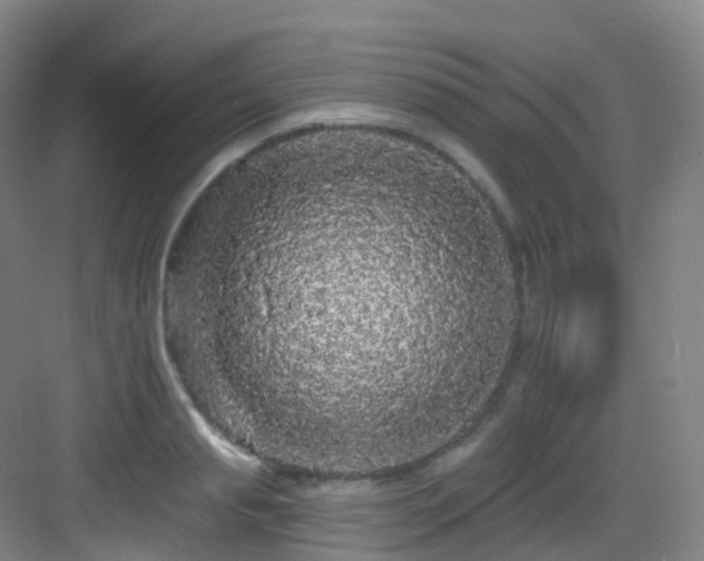 X0000083070845200702091528