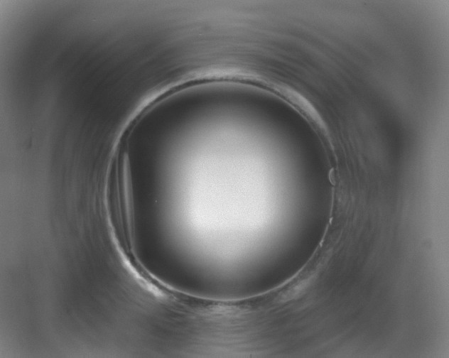 X0000083070847200702091528