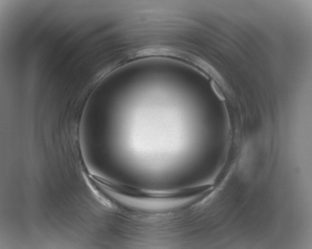 X0000083070849200702091528
