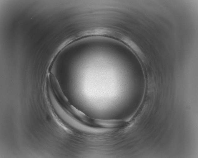 X0000083070850200702091528