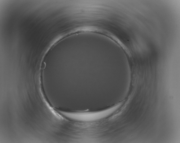 X0000083070853200702091528