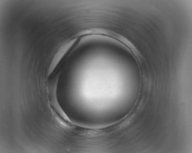 X0000083070857200702091528