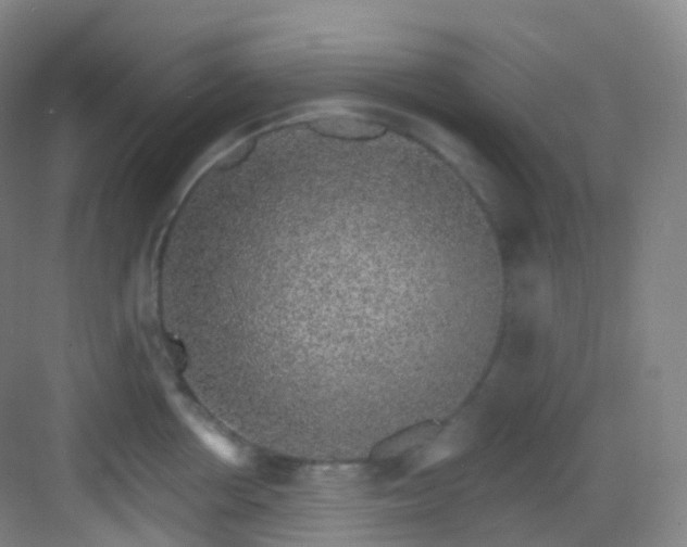 X0000083070858200702091528