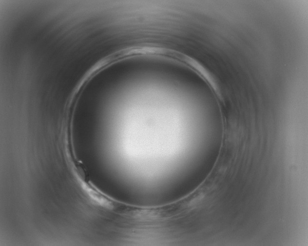 X0000083070861200702091528