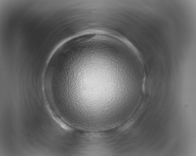 X0000083070862200702091528
