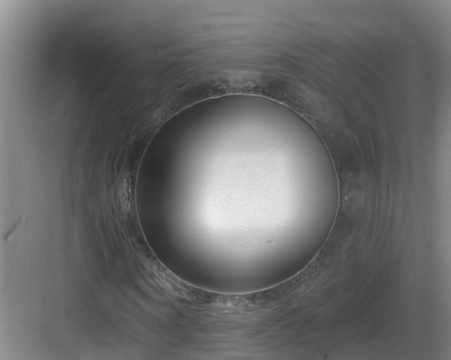 X0000083070866200702091528
