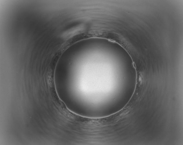 X0000083070867200702091528