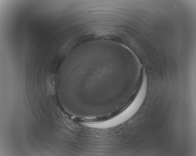 X0000083070868200702091528