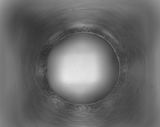 X0000083070869200702091528