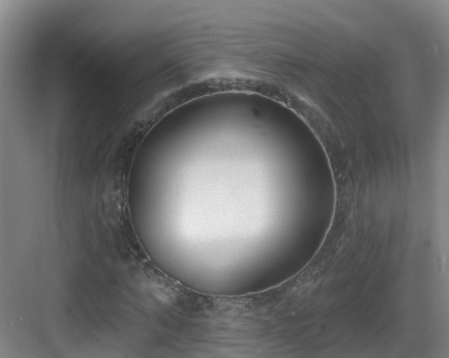 X0000083070870200702091528