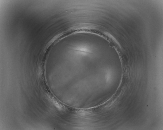X0000083070874200702091528