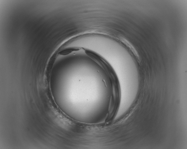 X0000083070876200702091528