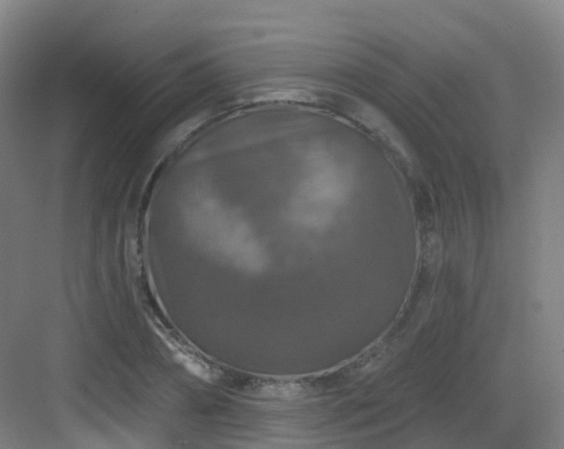 X0000083070882200702091527