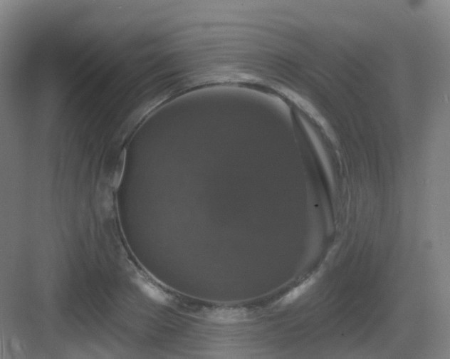 X0000083070889200702091527