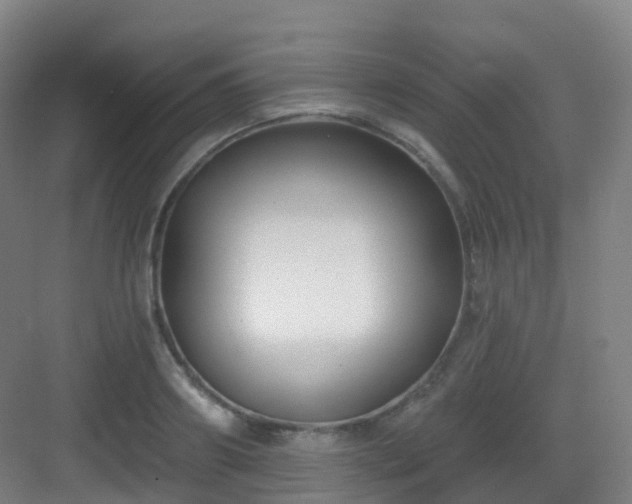 X0000083070890200702091527
