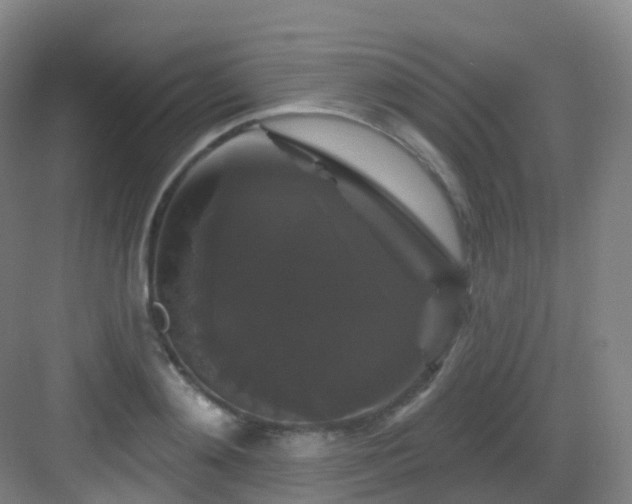 X0000083070892200702091527