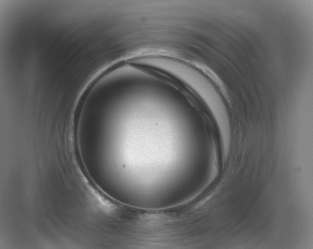 X0000083070894200702091527