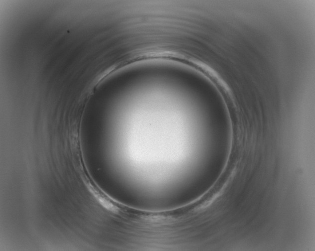 X0000083070897200702091527