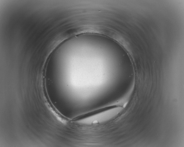 X0000083070898200702091527
