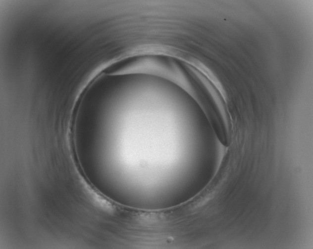 X0000083070901200702091527