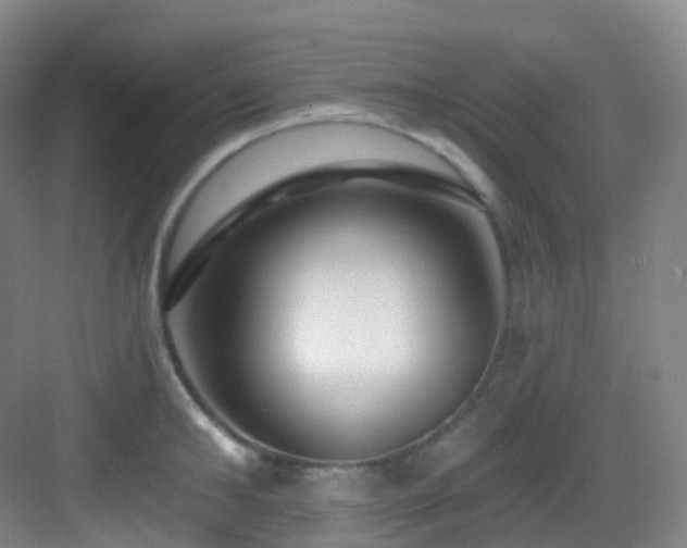 X0000083070902200702091527