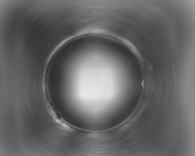 X0000083070904200702091527