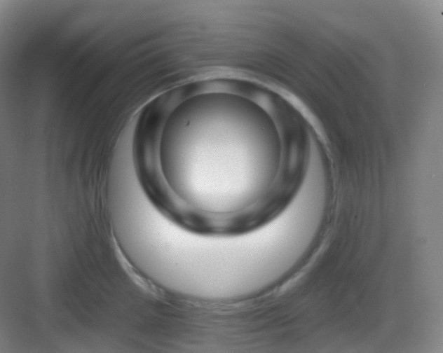 X0000083070905200702091527