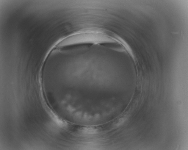 X0000083070907200702091527