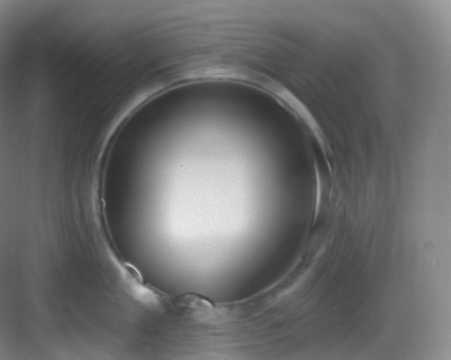 X0000083070909200702091527