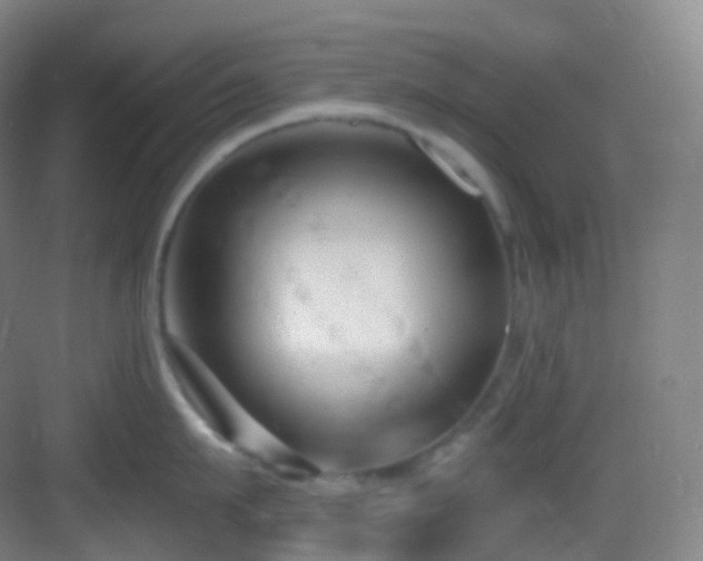 X0000083070911200702091527
