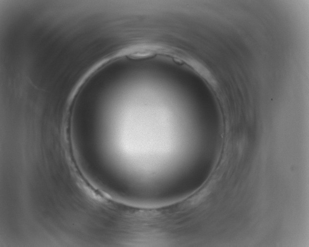 X0000083070912200702091527