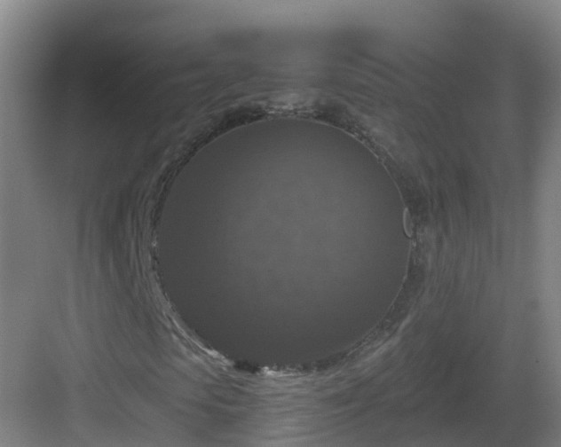X0000083070913200702091526