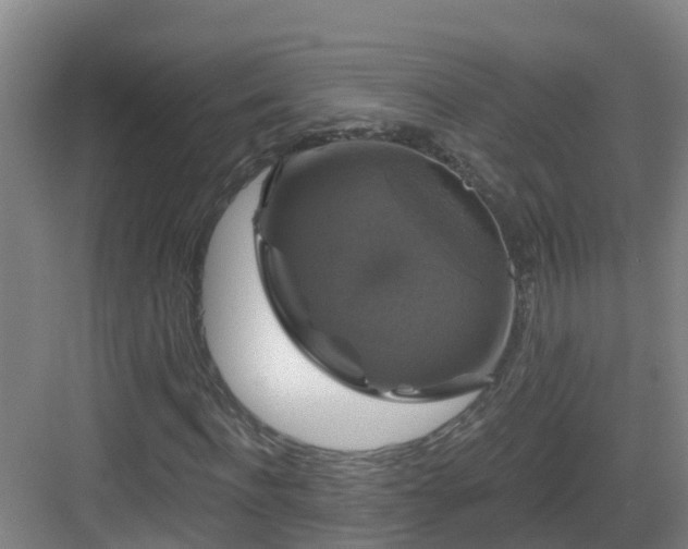 X0000083070916200702091526