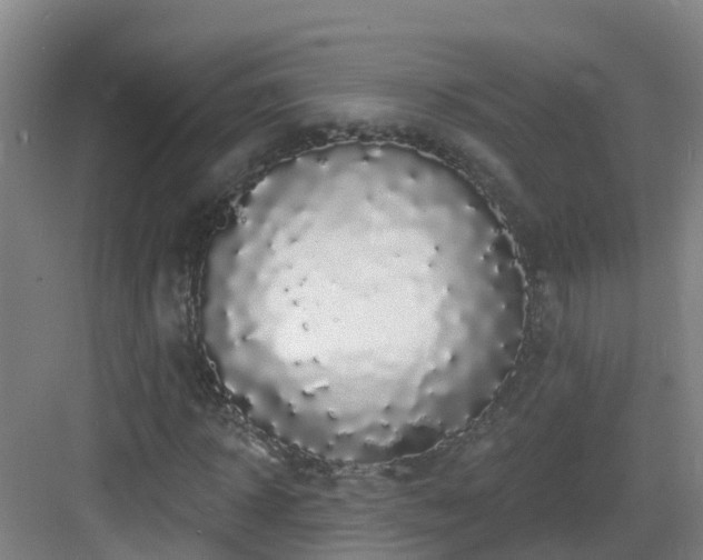 X0000083070918200702091526