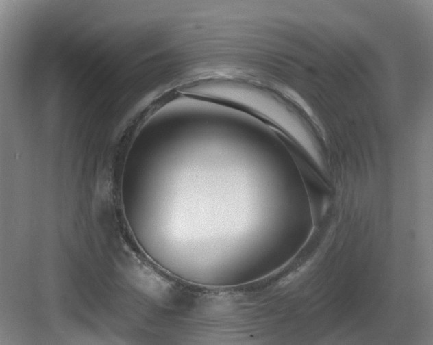 X0000083070922200702091526