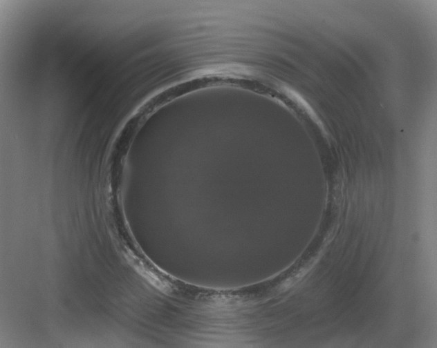 X0000083070923200702091526